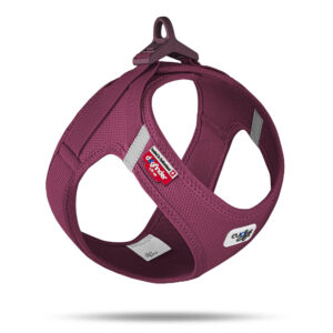 Curli Clasp Air-Mesh- Peitoral para cão (Bordeaux)
