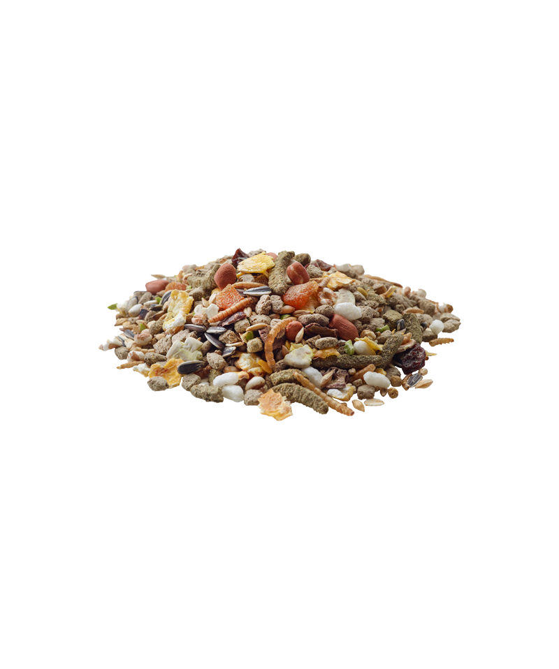 Versele-Laga Nature Hamster - Alimento natural para hamster 700 g - Image 2