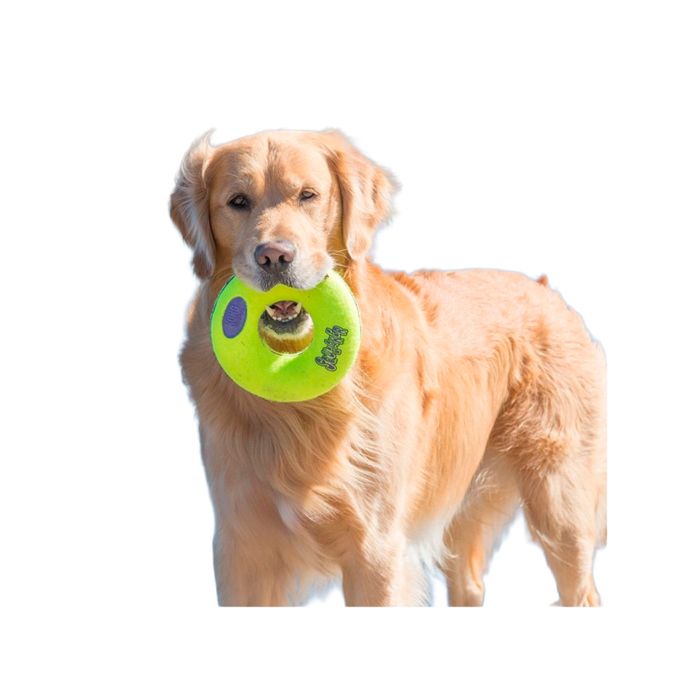 Kong AirDog Squeaker Donut- Brinquedo para cão - Image 2