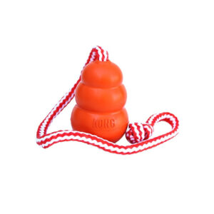 Kong Aqua- Brinquedo para cão