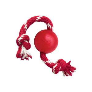 Kong Ball With Rope- Bola com corda para cão