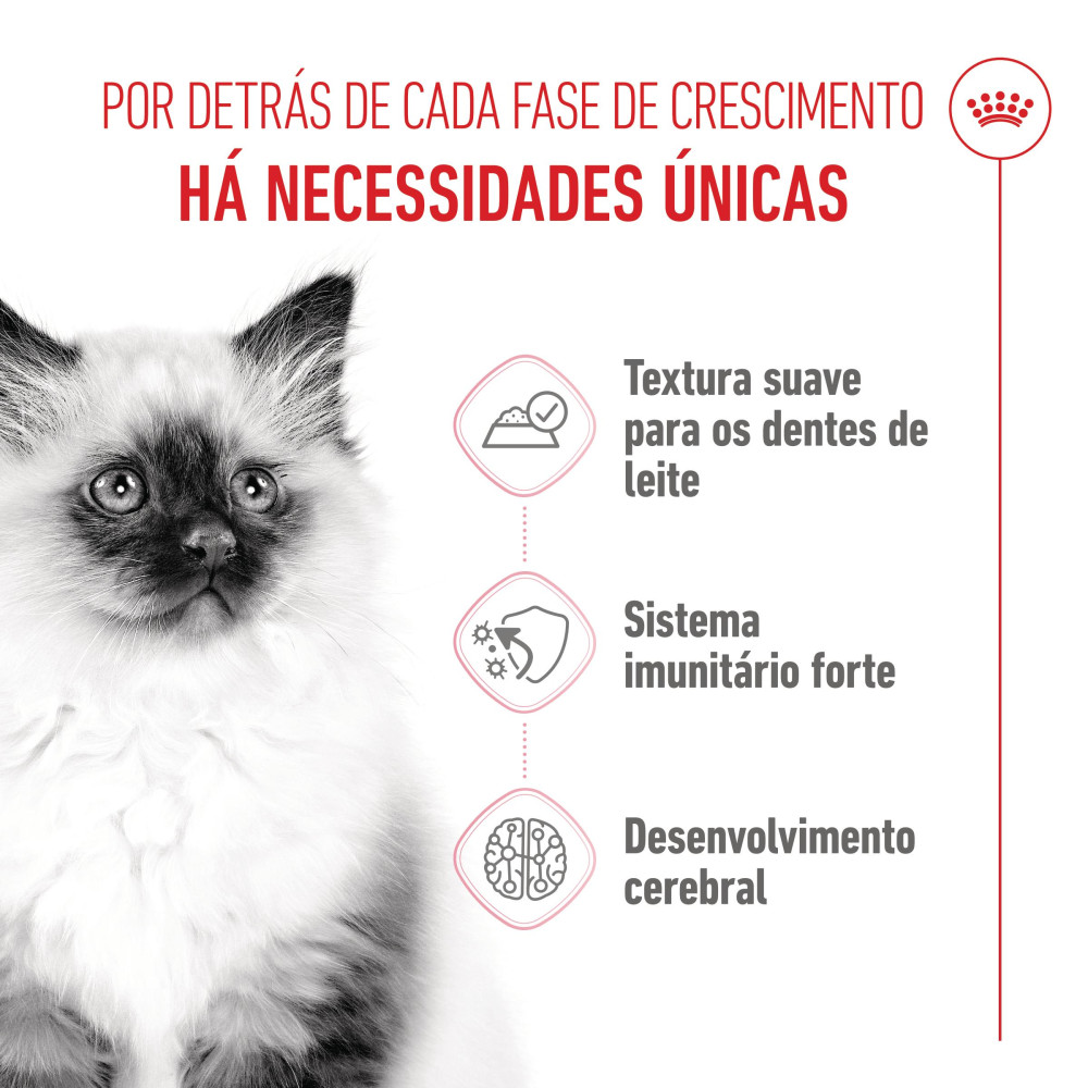 Royal Canin Kitten- Comida em geleia para gatinhos (85g) - Image 2