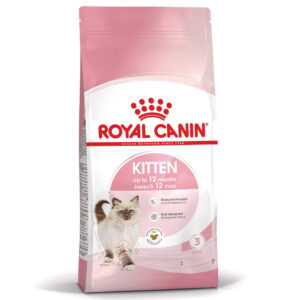 Royal Canin Kitten- Ração seca para gatinho