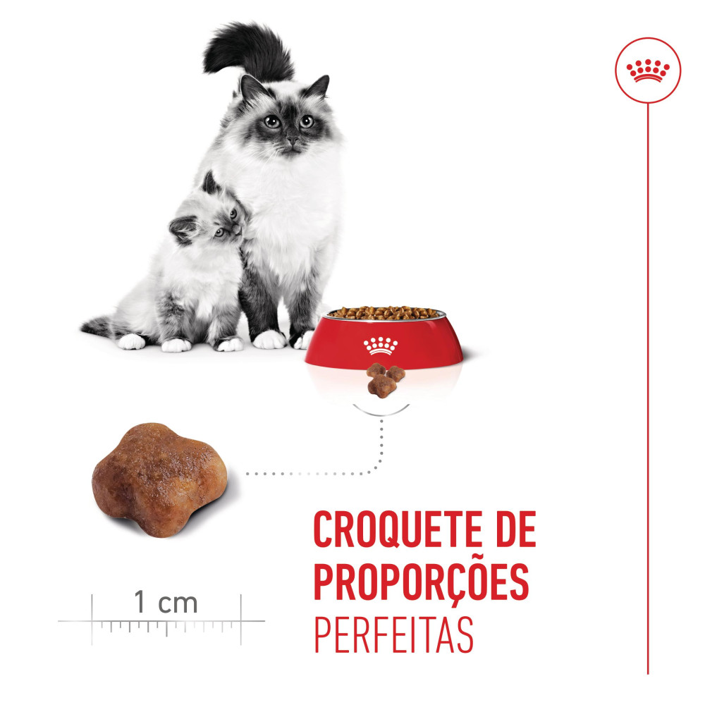 Royal Canin Mother & Babycat- Ração seca para gatinhos e gata gestante - Image 3