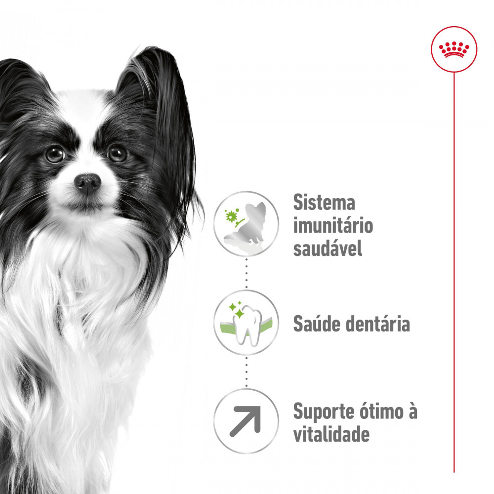 Royal Canin X-Small Adult (8+) - Ração seca para cão muito pequeno com +8 anos - Image 2