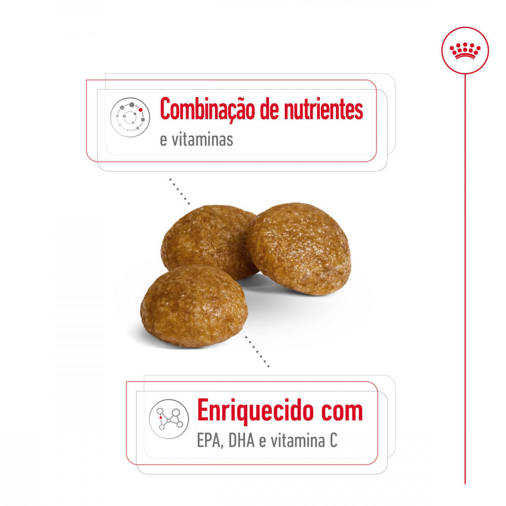 Royal Canin X-Small Adult (8+) - Ração seca para cão muito pequeno com +8 anos - Image 3