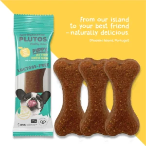 Plutos Puppy First Cheese Chew- Osso médio para cachorro