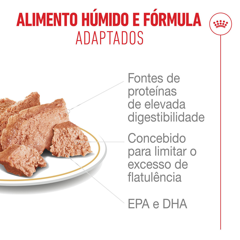 Royal Canin French Bulldog Adult- Alimento em patê para bulldog francês adulto (85g) - Image 4
