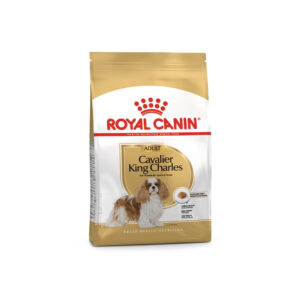 royal-canin-cavalier-king-charles-adult-racao-seca-para-cao-de-raca Royal Canin Cavalier King Charles Adult- Ração seca para cão adulto de raça (3kg)