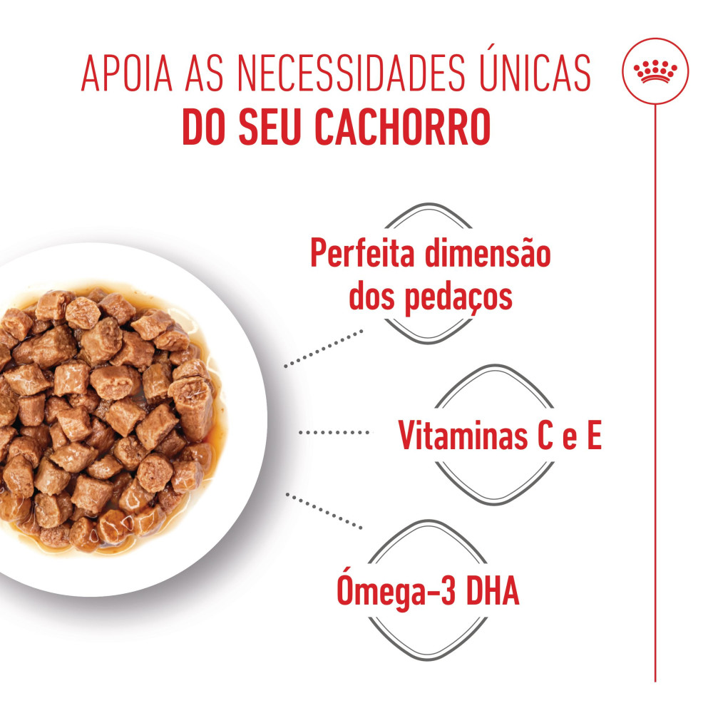 Royal Canin X-Small Puppy- Alimento em molho para cachorro muito pequeno (85g) - Image 4