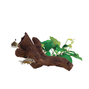 Aquavitro Ceramic Hide- Tocas decorativas para aquário e terrário