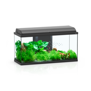 Aquatlantis- Aquário Aquadream 100
