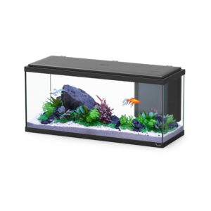 Aquatlantis- Aquário Explorer Amsterdam