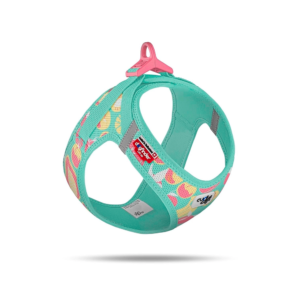 Curli Clasp Air-Mesh- Peitoral para cão (Menta)