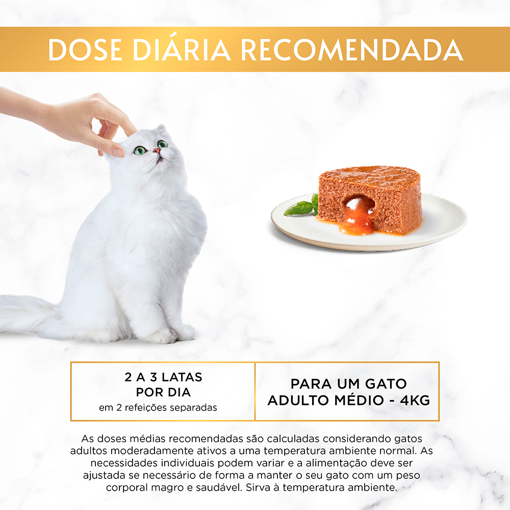 Gourmet Gold- Fondant com frango para gato - Image 3