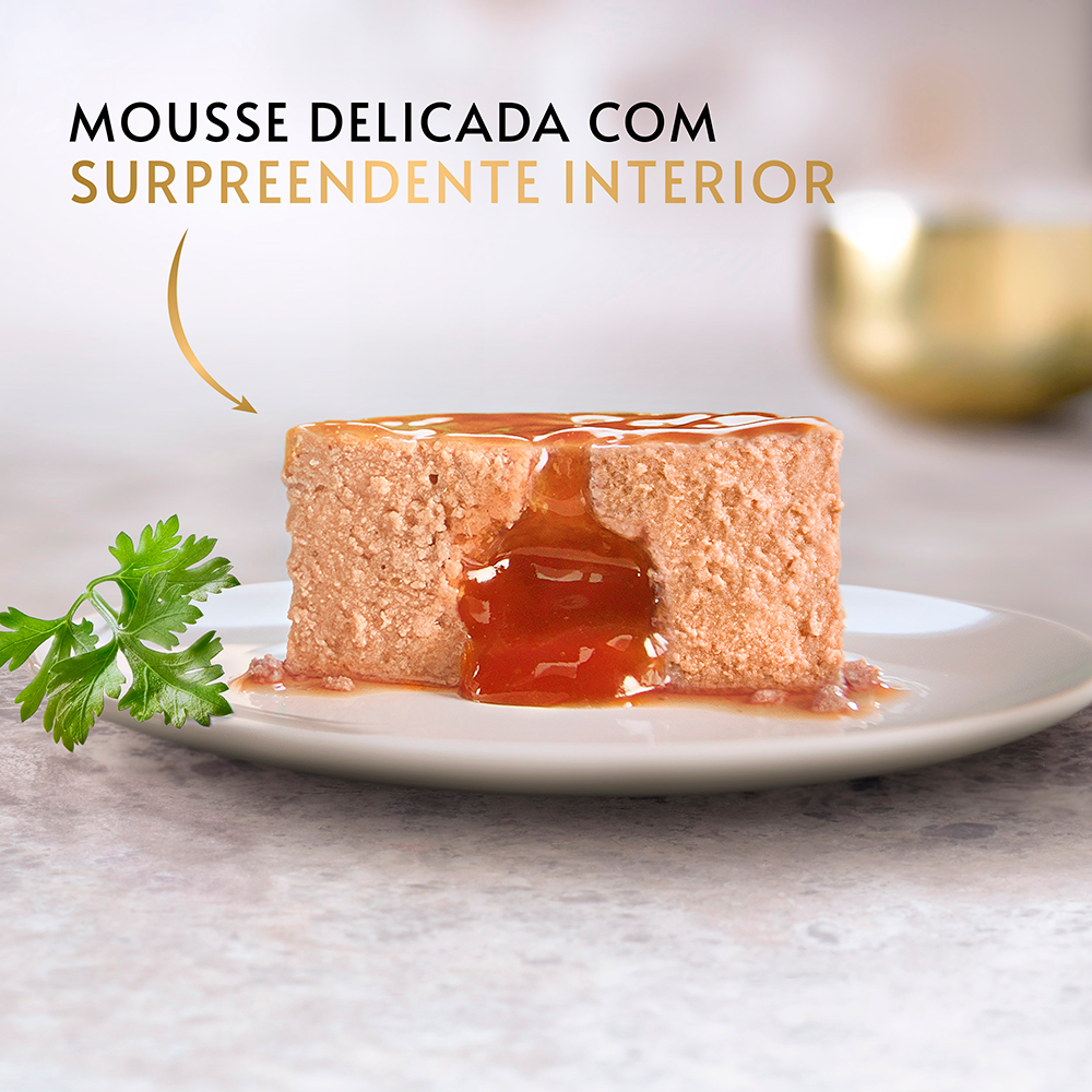 Gourmet Gold- Fondant com frango para gato - Image 4