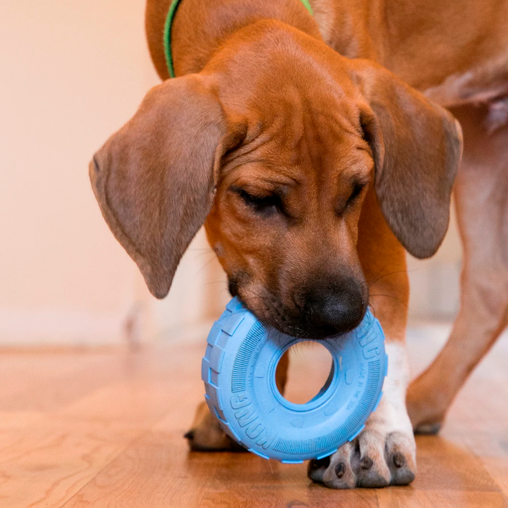 Kong Puppy Traxx- Brinquedo em forma de pneu para cachorro - Image 4