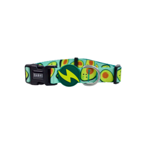 Dashi- Coleira Avocado para cão