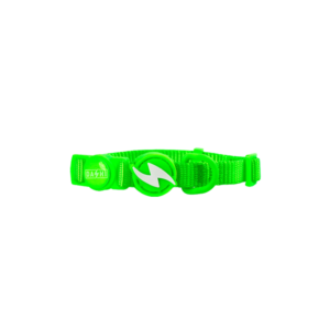 Dashi- Coleira Neon Green para gato