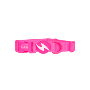 Dashi- Coleira Neon para cão