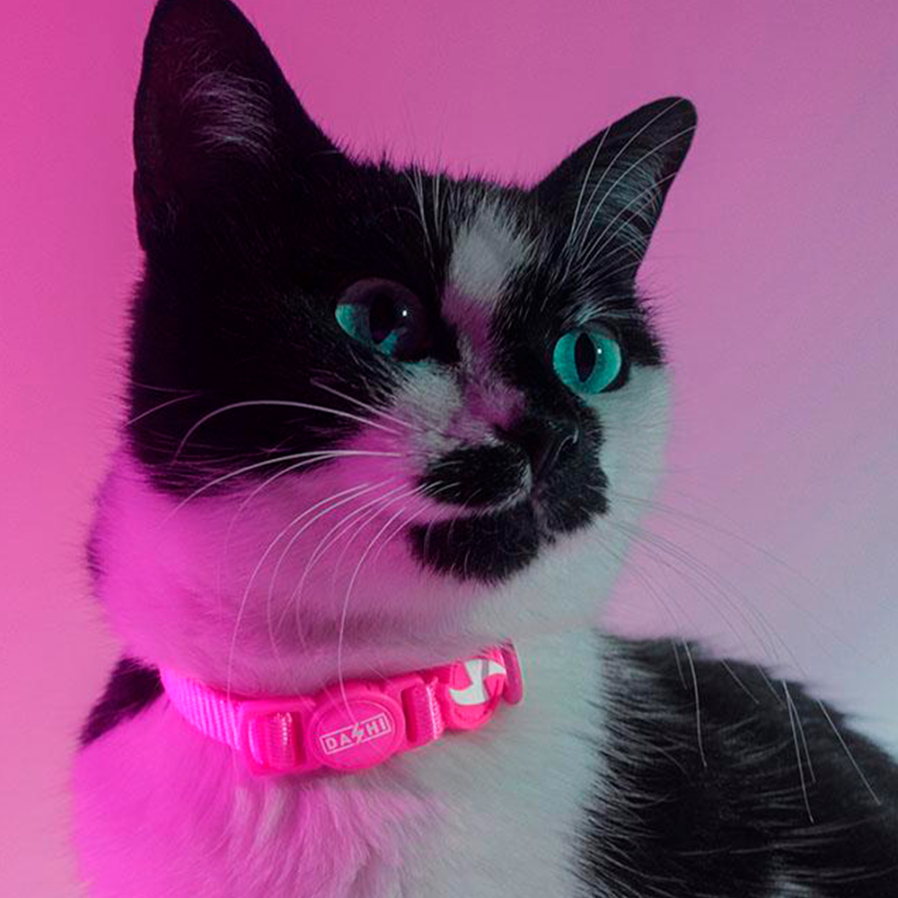 Dashi- Coleira Neon Pink para gato - Image 2