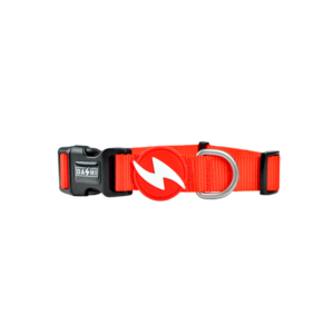 Dashi- Coleira Solid Red para cão