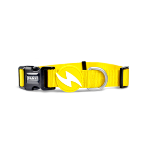 Dashi- Coleira Solid Yellow para cão