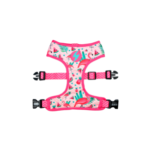 Dashi- Arnês Flamingo para cão