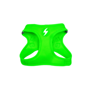 Dashi- Arnês Neon para cão