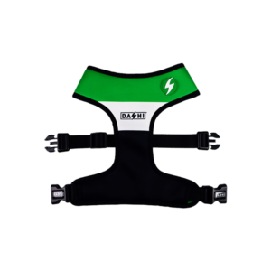 Dashi- Arnês Stripes Green and Black para cão