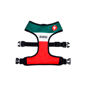 Dashi- Arnês Stripes Green and Red para cão