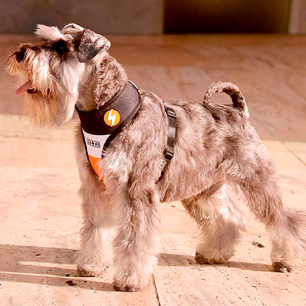 Dashi- Arnês Stripes Orange and Black para cão - Image 2