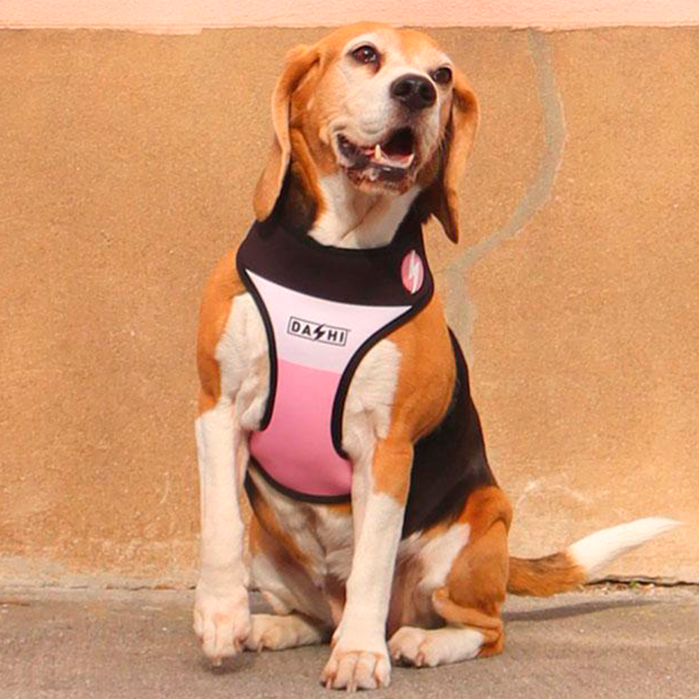 Dashi- Arnês Stripes Pink and Black para cão - Image 2