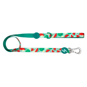 Dashi- Trela Eco Breeze para cão