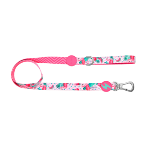 Dashi- Trela Flamingo para cão