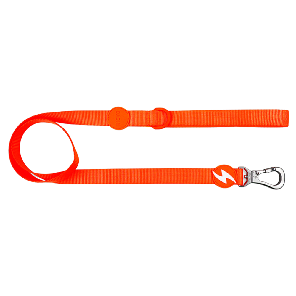 Dashi- Trela Neon para cão - Image 2