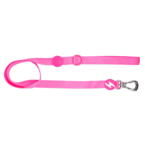 Dashi- Trela Neon para cão