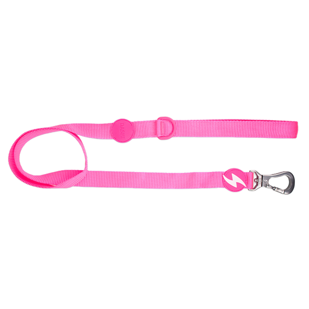Dashi- Trela Neon para cão