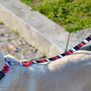Dashi- Trela Slide para cão